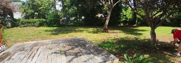 fallen tree cleanup