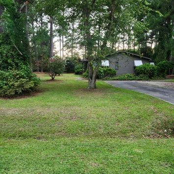 grass cut