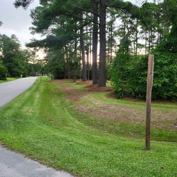 grass cut